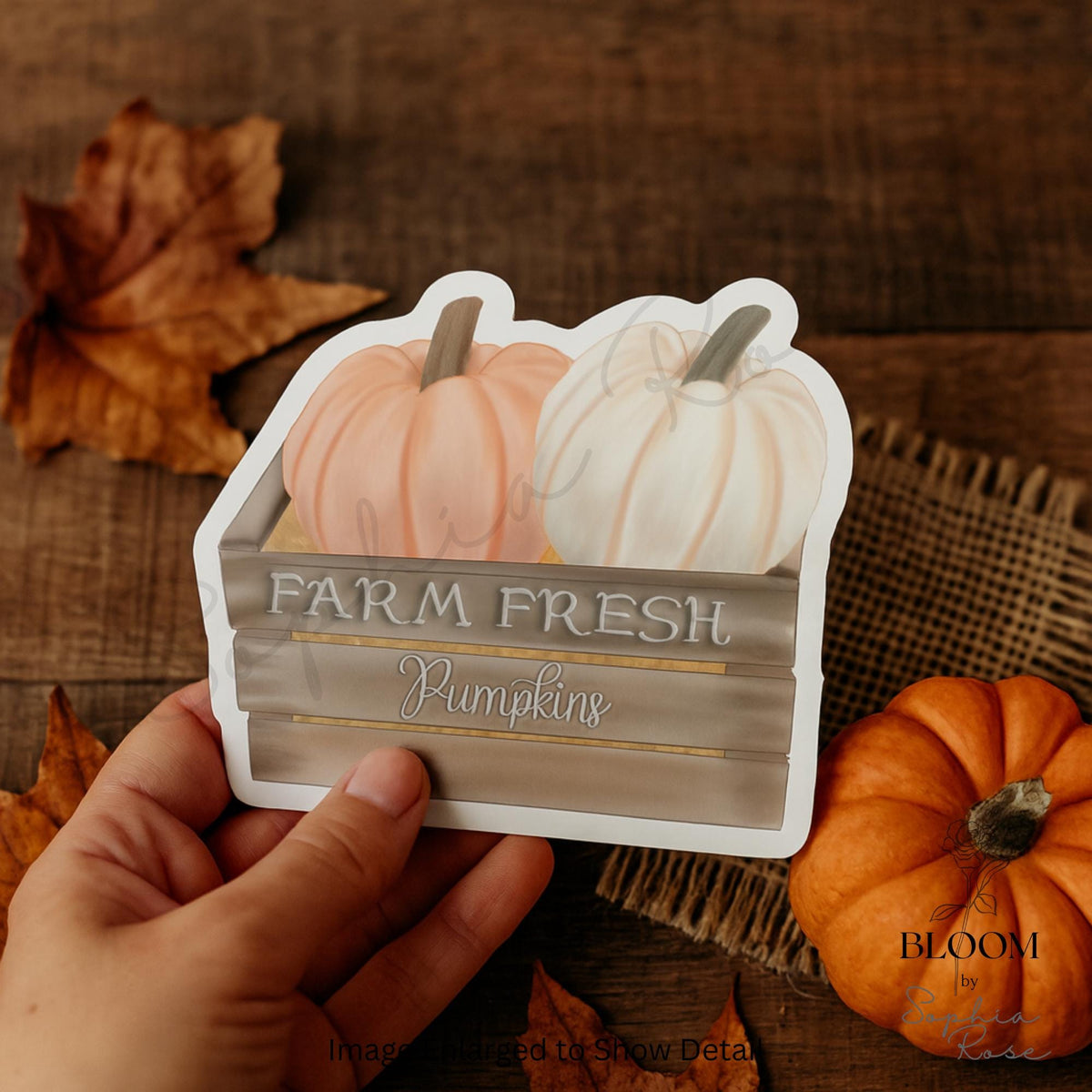 Farm Fresh Pumpkins Sticker | Autumn Harvest Vinyl Decal — photo 2