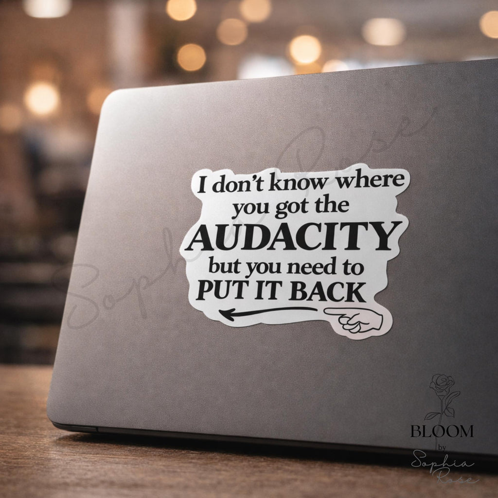 Funny Audacity Vinyl Sticker | Sarcastic Laptop, Water Bottle Decal — photo 2